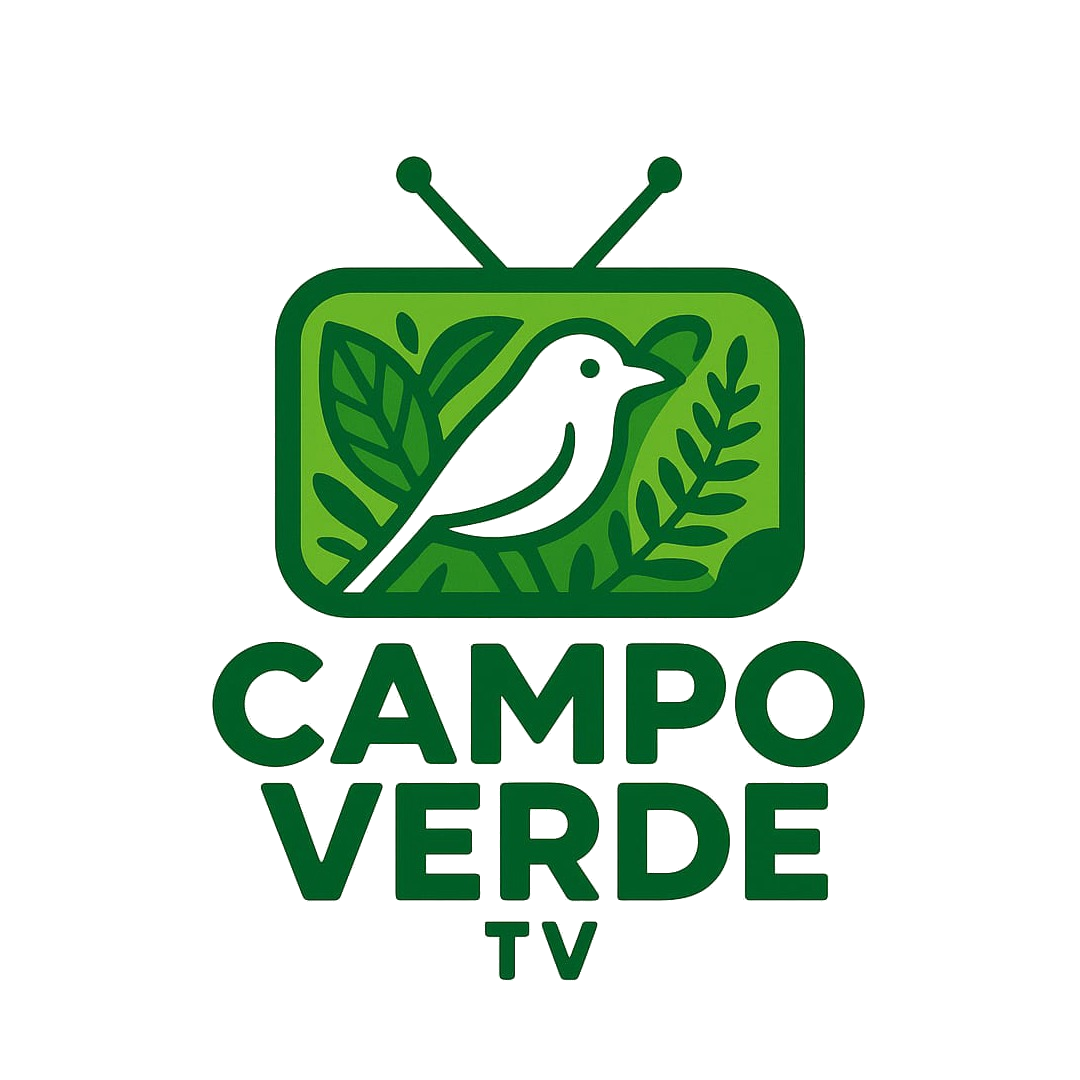 Campo Verde TV